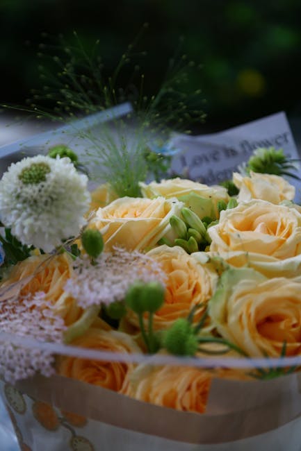 A close-up of a floral arrangement featuring light peach roses with soft, velvety petals, complemented by delicate white scabiosa and green buds. The flowers are arranged in a wrap with visible pale p