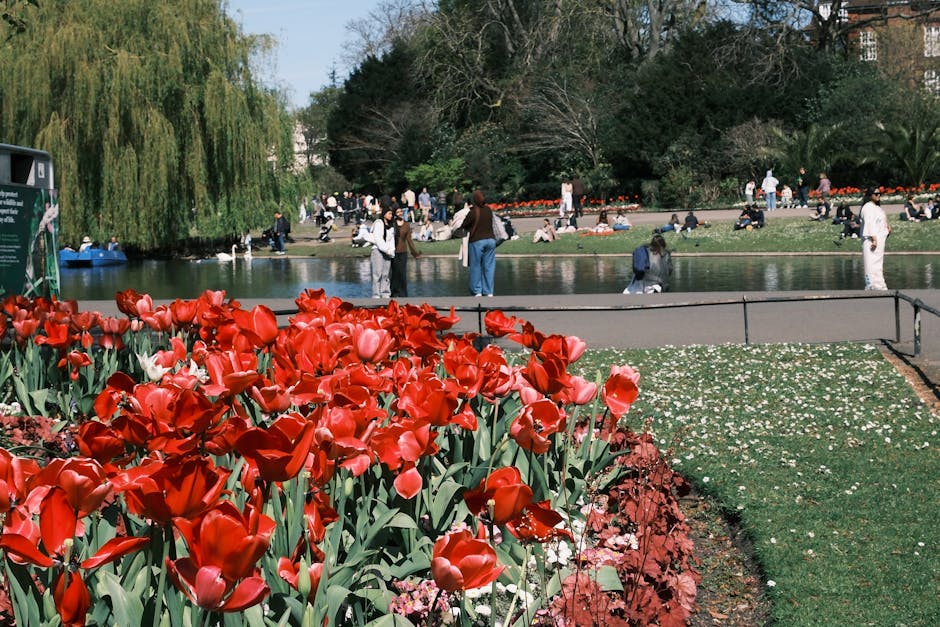 A vibrant floral scene featuring a dense bed of red tulips with glossy petals and green stems in the foreground, set against a backdrop of Southwark Park with a pond and lush trees. The park is popula